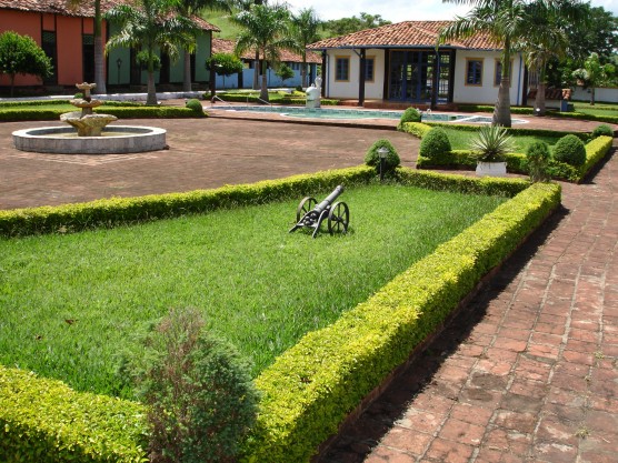 plantas jardim classico: tratos culturais que dão vida às plantas plantas jardim classico: tratos culturais que dão vida às plantas
