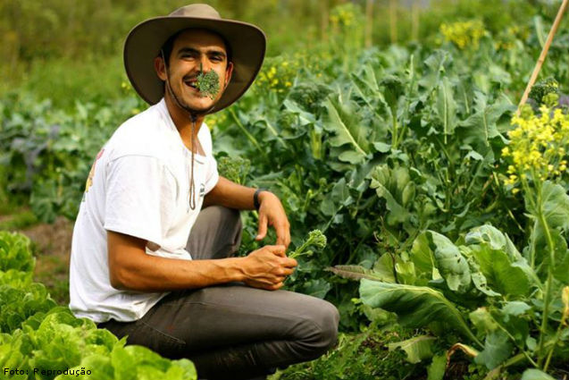 Exame reproducao e processamento de recursos florestais
