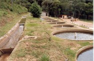 O ideal é contar com abastecimento e distribuição de água por gravidade, já que reduz o custo operacional durante o manejo dos viveiros Viveiros de peixes