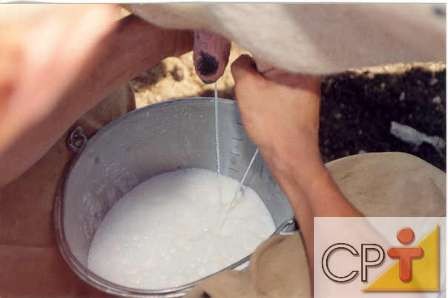 Tanque de expansao para leite creme