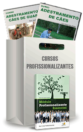 Curso Profissionalizante de Adestrador de Cães Curso Profissionalizante de Adestrador de Cães