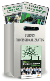 Curso Profissionalizante de Tosador de Cães e Gatos Curso Profissionalizante de Tosador de Cães e Gatos