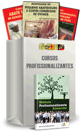 Curso Profissionalizante de Açougueiro Curso Profissionalizante de Açougueiro