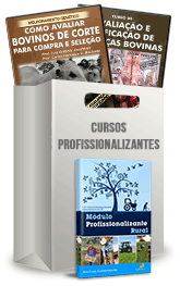 Curso Profissionalizante de Avaliador de Bovinos e Carcaças Curso Profissionalizante de Avaliador de Bovinos e Carcaças