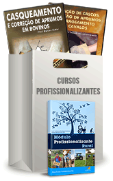 Curso Profissionalizante de Casqueador Curso Profissionalizante de Casqueador