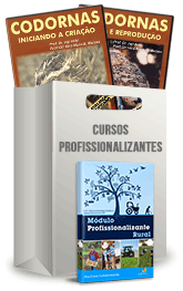 Curso Profissionalizante de Criador de Codornas Curso Profissionalizante de Criador de Codornas