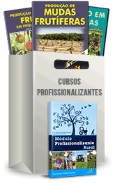 Curso Profissionalizante de Produtor de Frutas Curso Profissionalizante de Produtor de Frutas
