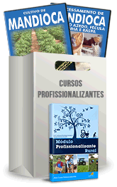 Curso Profissionalizante de Produtor de Mandioca Curso Profissionalizante de Produtor de Mandioca