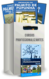 Curso Profissionalizante de Produtor de Palmito Curso Profissionalizante de Produtor de Palmito