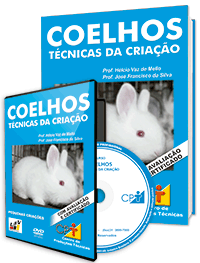 Curso Coelhos - Técnicas de Criação Curso Coelhos - Técnicas de Criação
