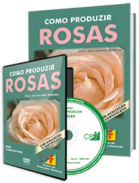 Curso Como Produzir Rosas Curso Como Produzir Rosas