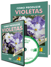 Curso Como Produzir Violetas Curso Como Produzir Violetas