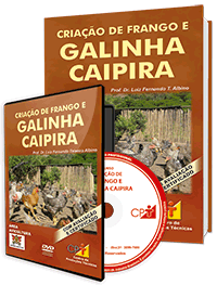 Curso Criação de Frango e Galinha Caipira Curso Criação de Frango e Galinha Caipira