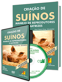 Curso Criação de Suínos - Manejo de Reprodutores e Matrizes Curso Criação de Suínos - Manejo de Reprodutores e Matrizes