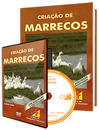 Curso Criação de Marrecos Curso Criação de Marrecos