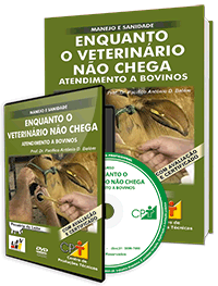 Curso Enquanto o Veterinário Não Chega - Atendimento a Bovinos Curso Enquanto o Veterinário Não Chega - Atendimento a Bovinos