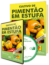 Curso Cultivo de Pimentão em Estufa Curso Cultivo de Pimentão em Estufa