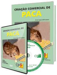Curso Criação Comercial de Paca Curso Criação Comercial de Paca