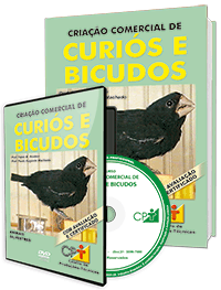 Curso Criação Comercial de Curiós e Bicudos Curso Criação Comercial de Curiós e Bicudos