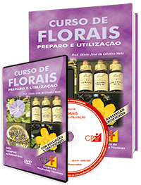 Curso de Florais - Preparo e Utilização Curso de Florais - Preparo e Utilização