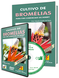 Curso Cultivo de Bromélias - Para fins Comerciais ou Hobby Curso Cultivo de Bromélias - Para fins Comerciais ou Hobby