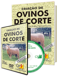 Curso Criação de Ovinos de Corte Curso Criação de Ovinos de Corte