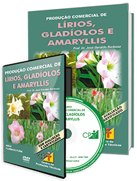 Curso Produção Comercial de Lírios, Gladíolos e Amaryllis Curso Produção Comercial de Lírios, Gladíolos e Amaryllis
