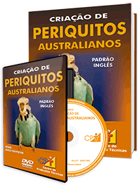 Curso Criação de Periquitos Australianos Curso Criação de Periquitos Australianos