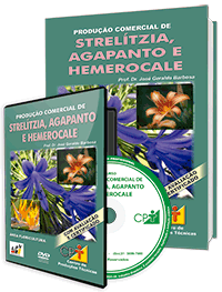 Curso Produção Comercial de Strelítzia, Agapanto e Hemerocale Curso Produção Comercial de Strelítzia, Agapanto e Hemerocale