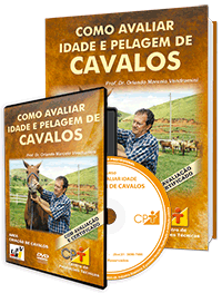Curso Como Avaliar Idade e Pelagem de Cavalos Curso Como Avaliar Idade e Pelagem de Cavalos