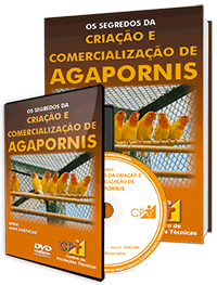 Curso Os Segredos da Criação e Comercialização de Agapornis Curso Os Segredos da Criação e Comercialização de Agapornis