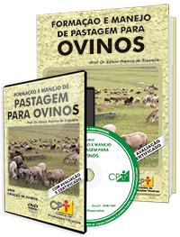 Curso Formação e Manejo de Pastagem para Ovinos Curso Formação e Manejo de Pastagem para Ovinos