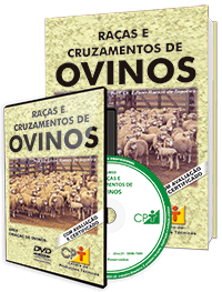 Curso Raças e Cruzamentos de Ovinos Curso Raças e Cruzamentos de Ovinos