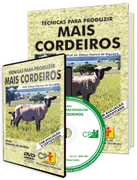 Curso Técnicas para Produzir Mais Cordeiros Curso Técnicas para Produzir Mais Cordeiros