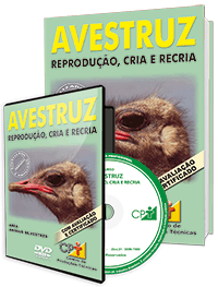 Curso Avestruz - Reprodução, Cria e Recria Curso Avestruz - Reprodução, Cria e Recria