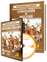 Curso Cruzamento Industrial Limousin X Nelore Curso Cruzamento Industrial Limousin X Nelore
