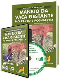 Curso Manejo da Vaca Gestante no Parto e Pós-Parto Curso Manejo da Vaca Gestante no Parto e Pós-Parto