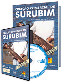 Curso Criação Comercial de Surubim Curso Criação Comercial de Surubim