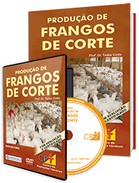 Curso Produção de Frangos de Corte Curso Produção de Frangos de Corte