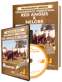 Curso Cruzamento Industrial Red Angus X Nelore Curso Cruzamento Industrial Red Angus X Nelore