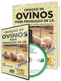 Curso Criação de Ovinos para Produção de Lã Curso Criação de Ovinos para Produção de Lã