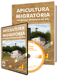 Curso Apicultura Migratória - Produção Intensiva de Mel Curso Apicultura Migratória - Produção Intensiva de Mel