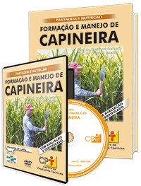 Curso Formação e Manejo de Capineira Curso Formação e Manejo de Capineira