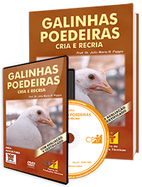 Curso Galinhas Poedeiras Cria e Recria Curso Galinhas Poedeiras Cria e Recria