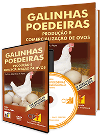 Curso Galinhas Poedeiras - Produção e Comercialização de Ovos Curso Galinhas Poedeiras - Produção e Comercialização de Ovos