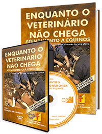 Curso Enquanto o Veterinário Não Chega - Atendimento a Equinos Curso Enquanto o Veterinário Não Chega - Atendimento a Equinos