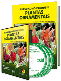 Curso Como Produzir Plantas Ornamentais Curso Como Produzir Plantas Ornamentais