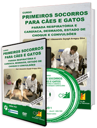 Curso Primeiros Socorros para Cães e Gatos - Parada Respiratória e Cardíaca, Desmaios, Estado de Choque e Convulsões Curso Primeiros Socorros para Cães e Gatos - Parada Respiratória e Cardíaca, Desmaios, Estado de Choque e Convulsões