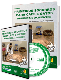 Curso Primeiros Socorros para Cães e Gatos - Principais Acidentes Curso Primeiros Socorros para Cães e Gatos - Principais Acidentes