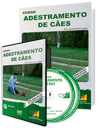 Curso Adestramento de Cães Curso Adestramento de Cães